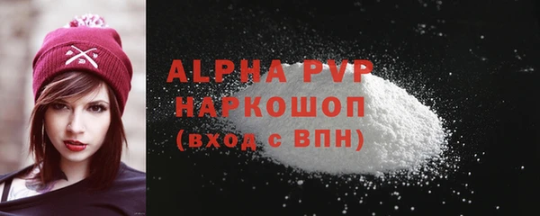 прущие грибы Осинники