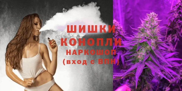 спайс Алзамай