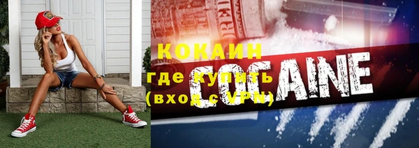 спайс Алзамай