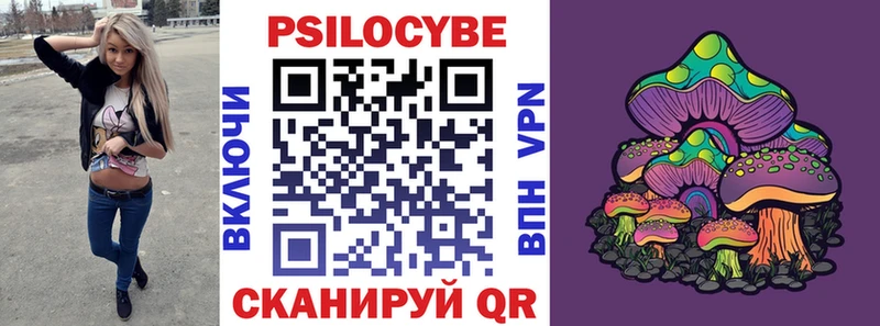 купить наркотики цена  kraken сайт  Псилоцибиновые грибы Cubensis  Чердынь 